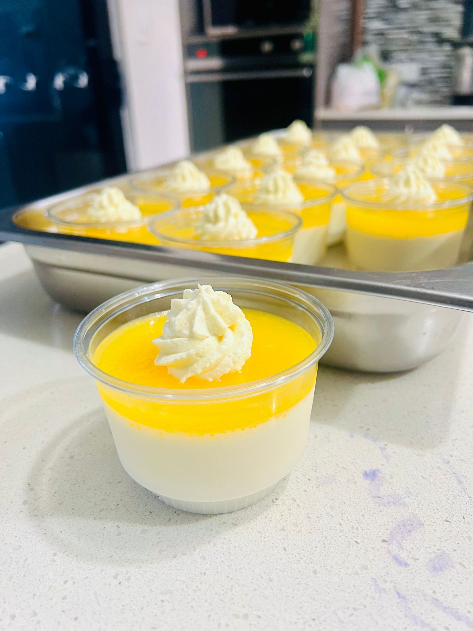 Vanilla panna cotta mini dessert cup with mango jelly