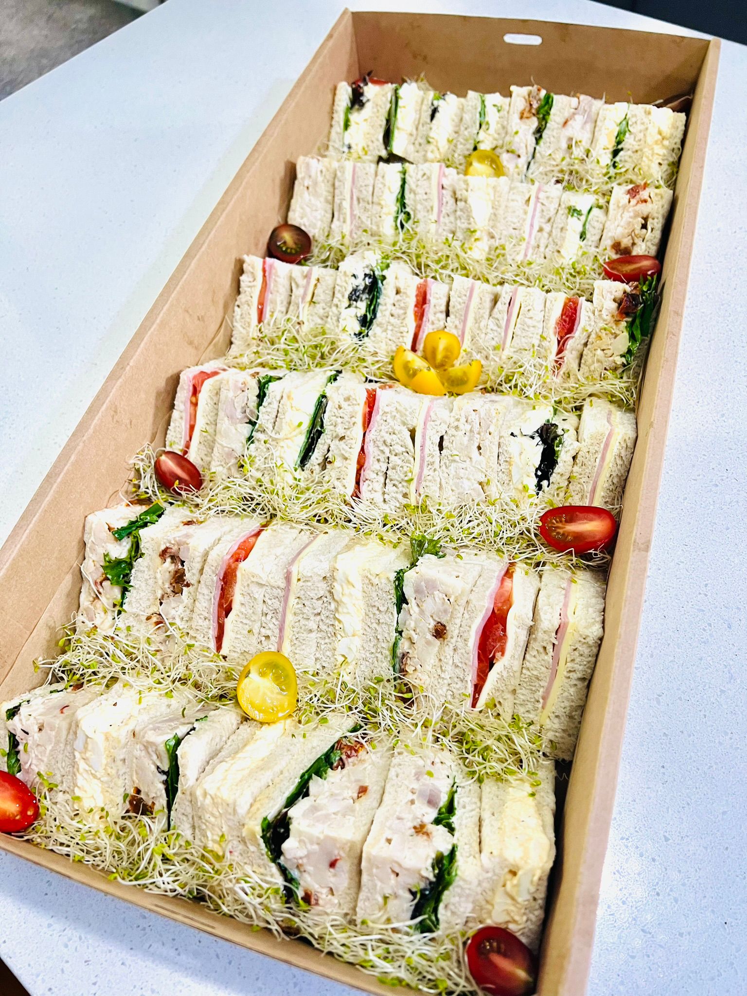 Extra Large Sandwich Box